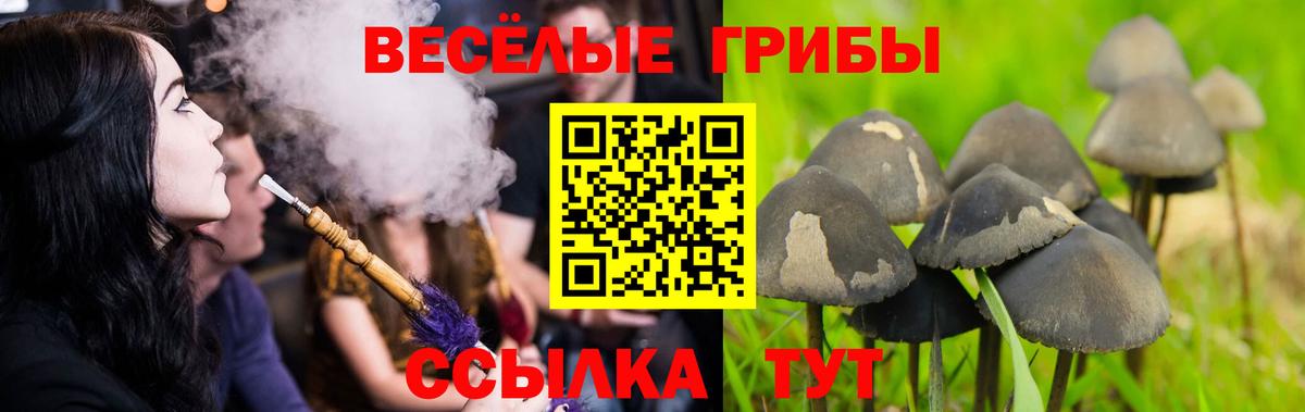 Галлюциногенные грибы Cubensis Сердобск